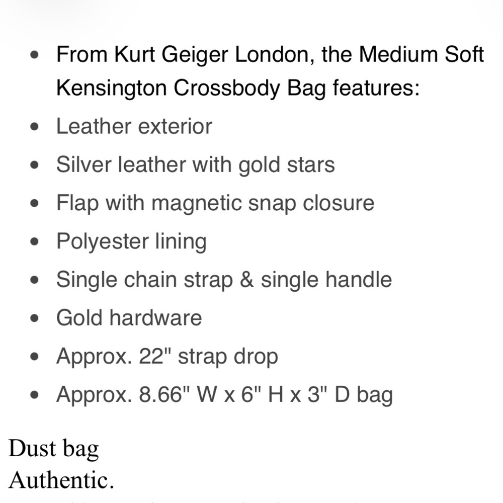 Kurt Geiger Silver Bag with Gold Stars - Picture 5 of 5